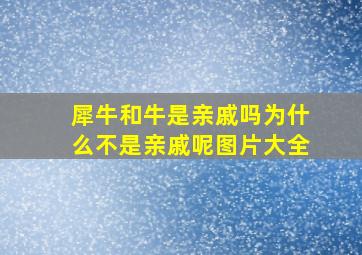 犀牛和牛是亲戚吗为什么不是亲戚呢图片大全