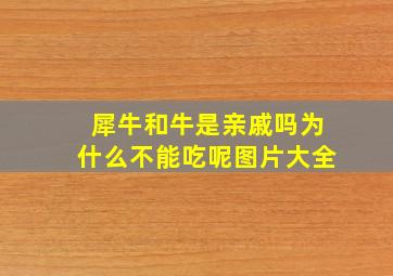 犀牛和牛是亲戚吗为什么不能吃呢图片大全