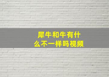 犀牛和牛有什么不一样吗视频