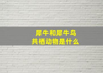 犀牛和犀牛鸟共栖动物是什么