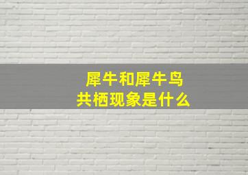 犀牛和犀牛鸟共栖现象是什么