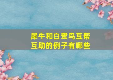 犀牛和白鹭鸟互帮互助的例子有哪些