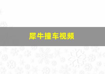 犀牛撞车视频