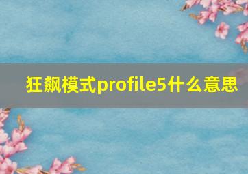 狂飙模式profile5什么意思