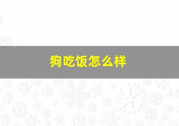 狗吃饭怎么样