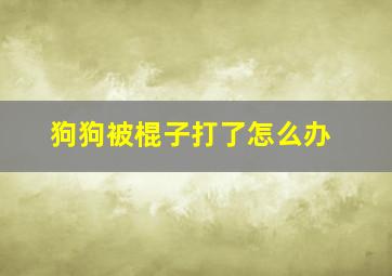 狗狗被棍子打了怎么办