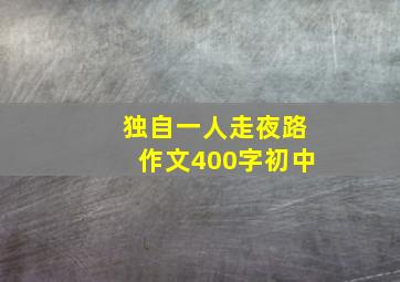 独自一人走夜路作文400字初中