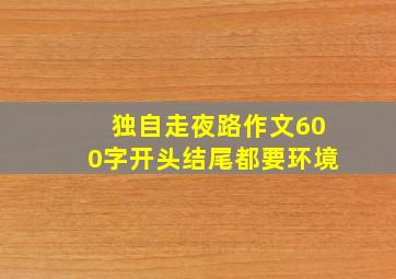 独自走夜路作文600字开头结尾都要环境