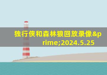 独行侠和森林狼回放录像′2024.5.25