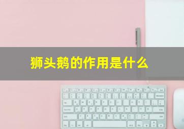 狮头鹅的作用是什么