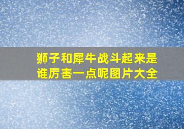 狮子和犀牛战斗起来是谁厉害一点呢图片大全