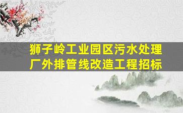 狮子岭工业园区污水处理厂外排管线改造工程招标