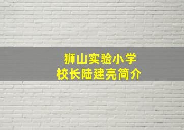 狮山实验小学校长陆建亮简介