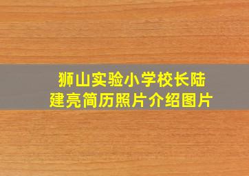 狮山实验小学校长陆建亮简历照片介绍图片