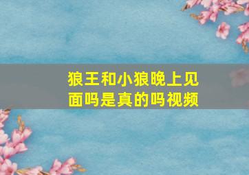 狼王和小狼晚上见面吗是真的吗视频