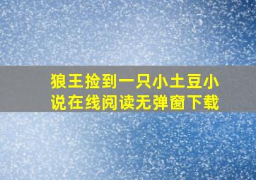 狼王捡到一只小土豆小说在线阅读无弹窗下载