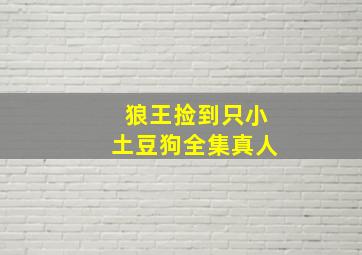 狼王捡到只小土豆狗全集真人