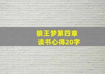 狼王梦第四章读书心得20字