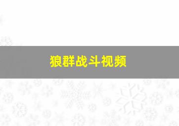 狼群战斗视频