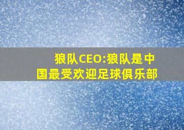 狼队CEO:狼队是中国最受欢迎足球俱乐部