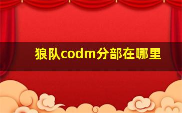 狼队codm分部在哪里