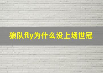 狼队fly为什么没上场世冠