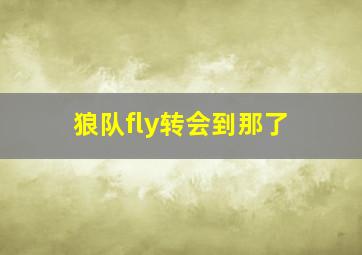 狼队fly转会到那了