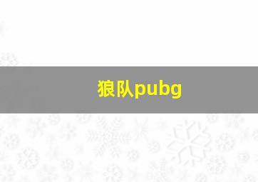 狼队pubg