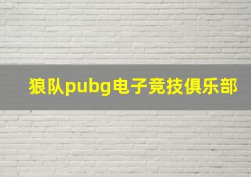 狼队pubg电子竞技俱乐部