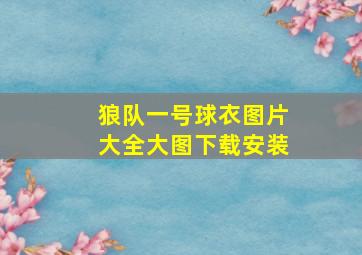 狼队一号球衣图片大全大图下载安装