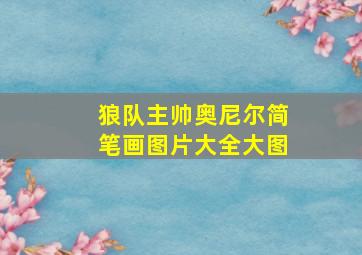 狼队主帅奥尼尔简笔画图片大全大图