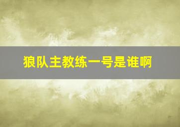 狼队主教练一号是谁啊