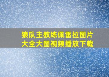 狼队主教练佩雷拉图片大全大图视频播放下载