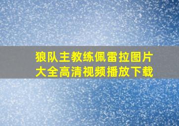 狼队主教练佩雷拉图片大全高清视频播放下载