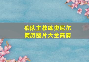 狼队主教练奥尼尔简历图片大全高清