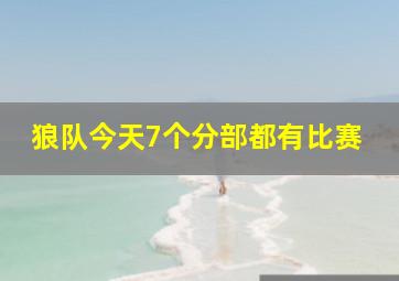 狼队今天7个分部都有比赛