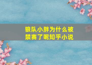 狼队小胖为什么被禁赛了呢知乎小说