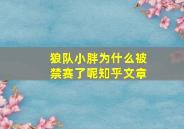 狼队小胖为什么被禁赛了呢知乎文章