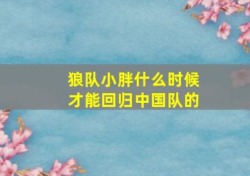 狼队小胖什么时候才能回归中国队的