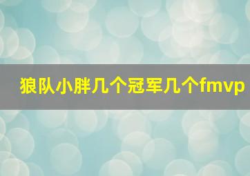 狼队小胖几个冠军几个fmvp