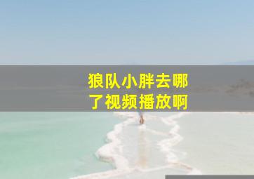 狼队小胖去哪了视频播放啊