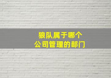 狼队属于哪个公司管理的部门