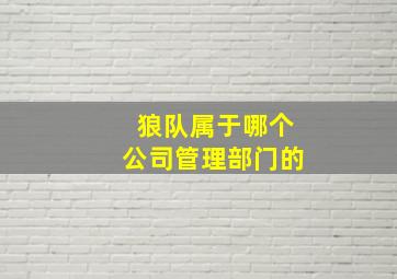 狼队属于哪个公司管理部门的