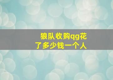 狼队收购qg花了多少钱一个人