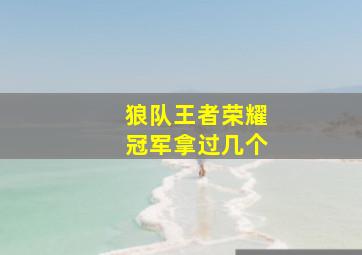 狼队王者荣耀冠军拿过几个