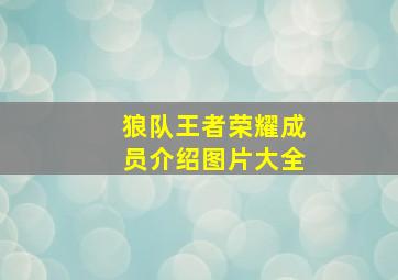 狼队王者荣耀成员介绍图片大全