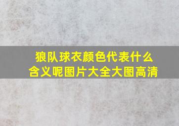 狼队球衣颜色代表什么含义呢图片大全大图高清