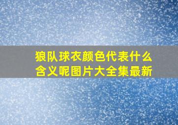 狼队球衣颜色代表什么含义呢图片大全集最新