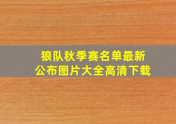 狼队秋季赛名单最新公布图片大全高清下载