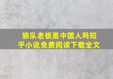 狼队老板是中国人吗知乎小说免费阅读下载全文